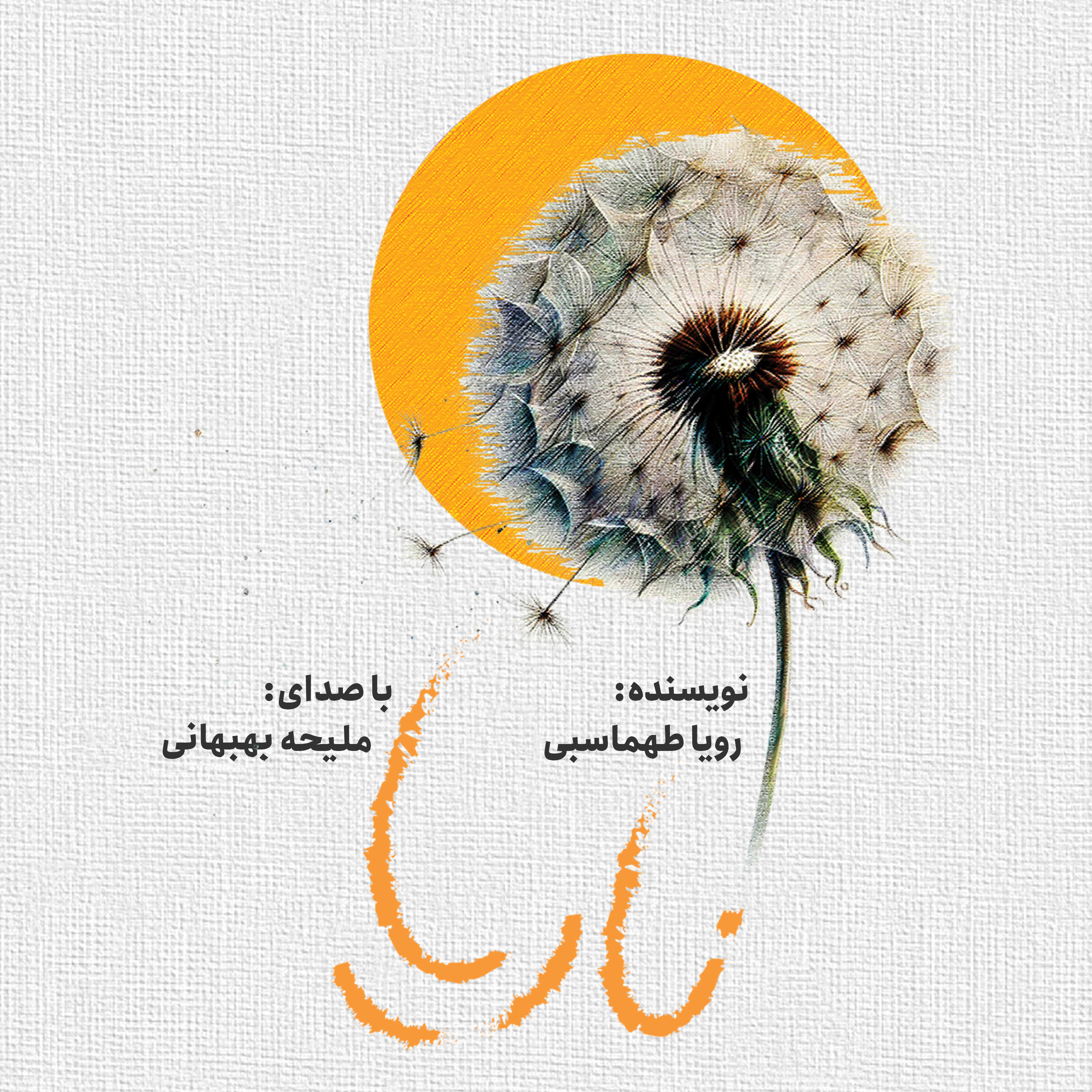 جلد کتاب صوتی